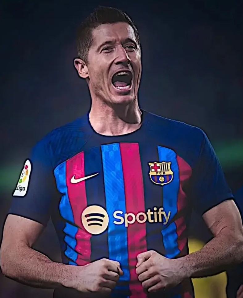 费内巴切足球俱乐部 费内巴切足球俱乐部